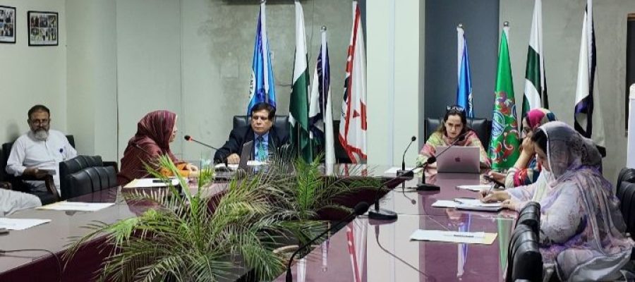 WhatsApp Image 2025-09-11 at 16.31.10_9d79c13a